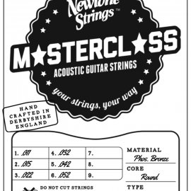 Master Class Acoustic 6 string