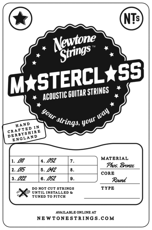 Master Class Acoustic 6 string