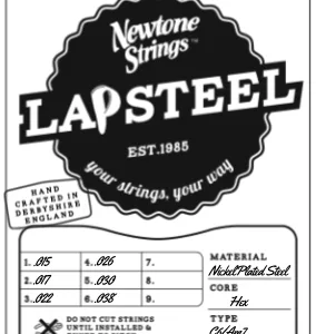 Electric Lap Steel