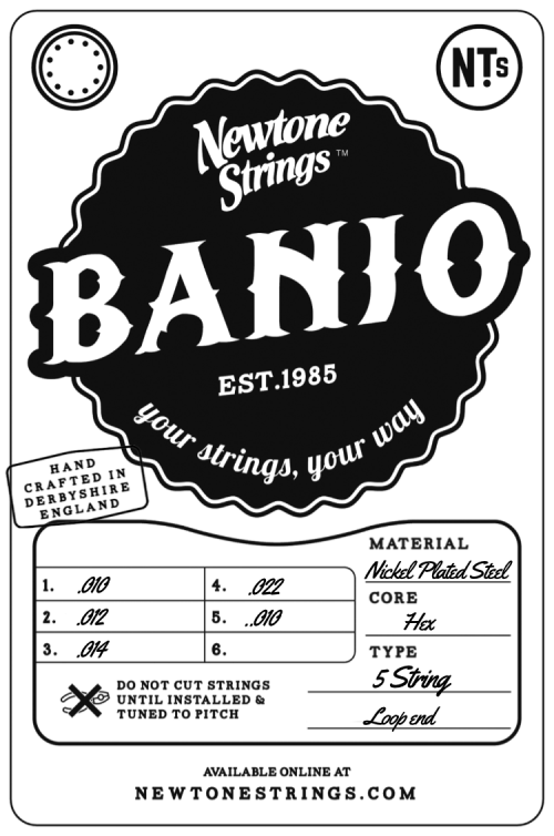 5 String Banjo
