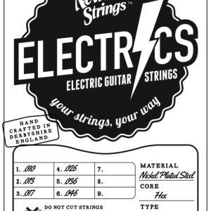 Newtone Electric 6 string