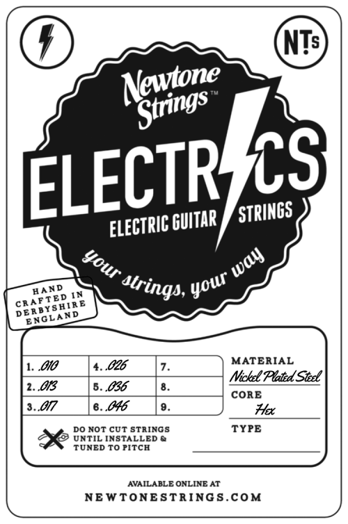 Newtone Electric 6 string