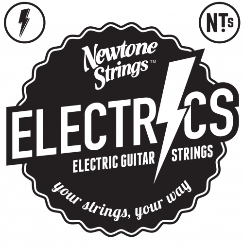 Newtone Electric 8 string