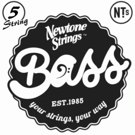 Platinum 5 string bass