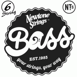 Platinum 6 string bass
